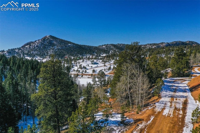 456 Idlewild Dr, Cripple Creek, CO 80813