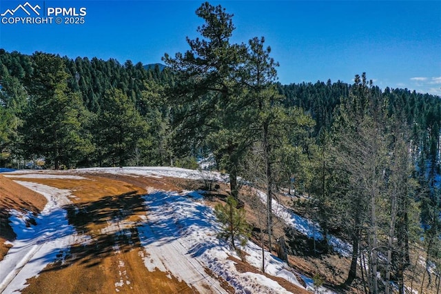456 Idlewild Dr, Cripple Creek, CO 80813