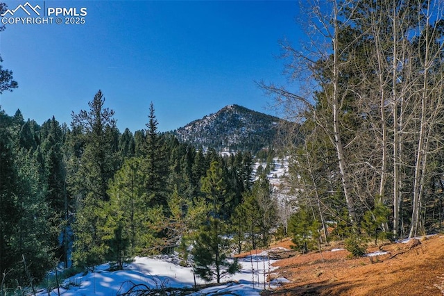 456 Idlewild Dr, Cripple Creek, CO 80813