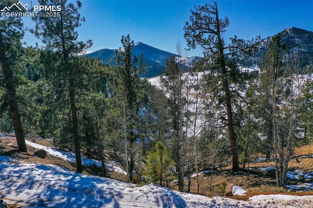 456 Idlewild Dr, Cripple Creek, CO 80813