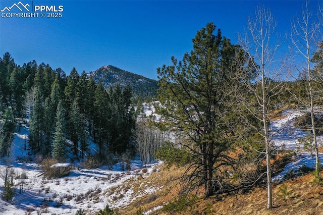 456 Idlewild Dr, Cripple Creek, CO 80813