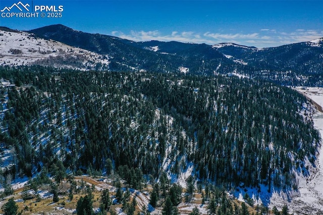 456 Idlewild Dr, Cripple Creek, CO 80813