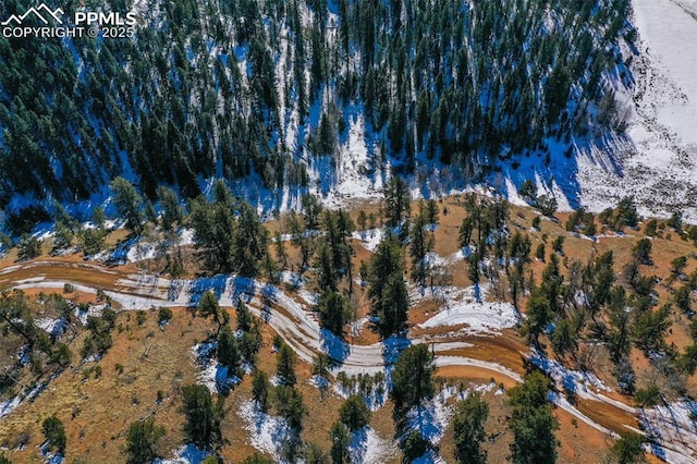 456 Idlewild Dr, Cripple Creek, CO 80813