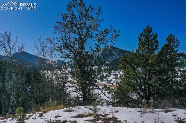 456 Idlewild Dr, Cripple Creek, CO 80813