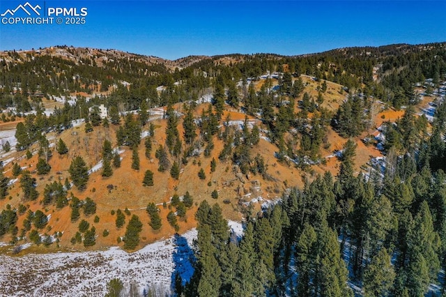 456 Idlewild Dr, Cripple Creek, CO 80813