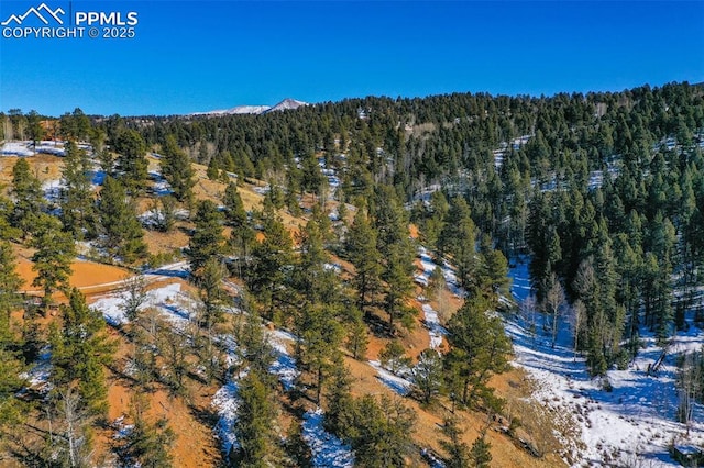 456 Idlewild Dr, Cripple Creek, CO 80813