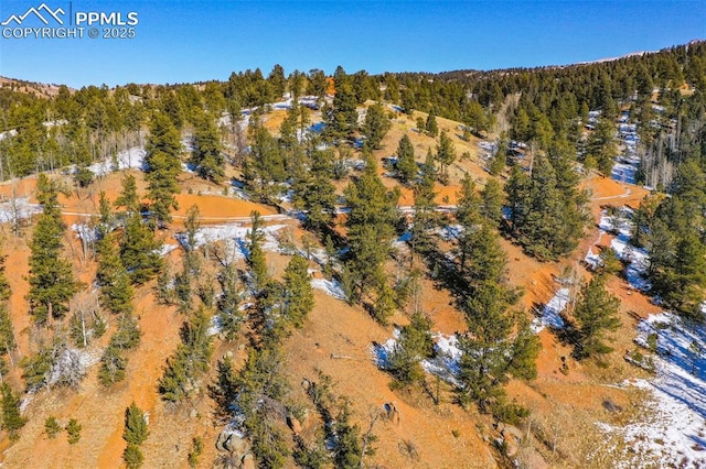 456 Idlewild Dr, Cripple Creek, CO 80813