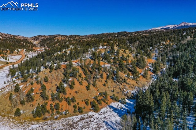 456 Idlewild Dr, Cripple Creek, CO 80813