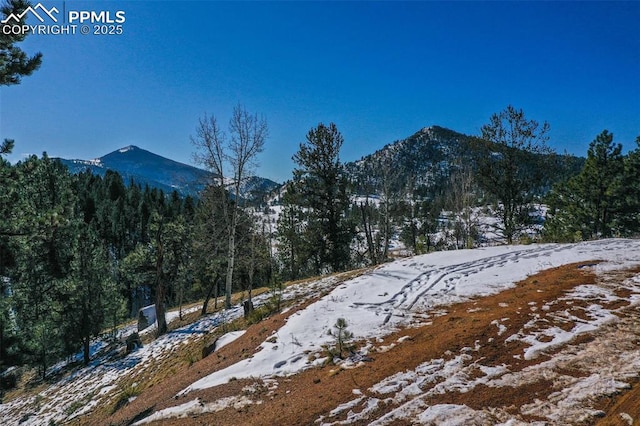 456 Idlewild Dr, Cripple Creek, CO 80813