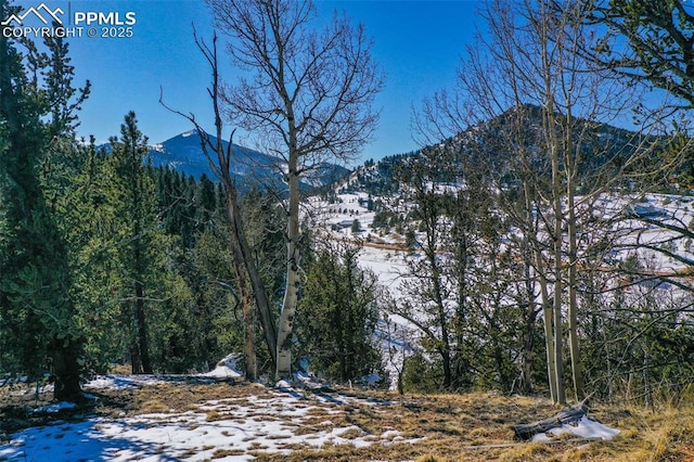 456 Idlewild Dr, Cripple Creek, CO 80813