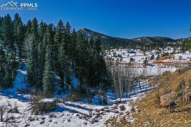 456 Idlewild Dr, Cripple Creek, CO 80813