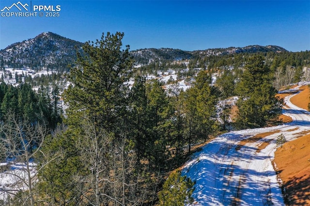 456 Idlewild Dr, Cripple Creek, CO 80813