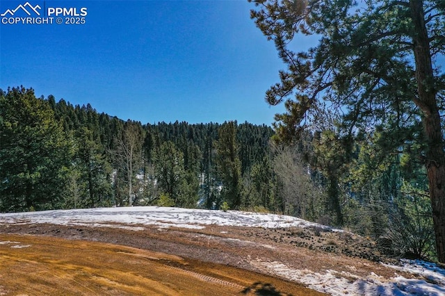 456 Idlewild Dr, Cripple Creek, CO 80813