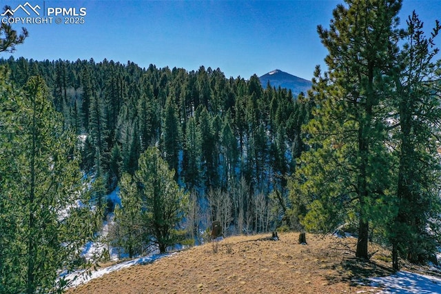 456 Idlewild Dr, Cripple Creek, CO 80813