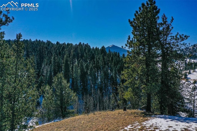 456 Idlewild Dr, Cripple Creek, CO 80813