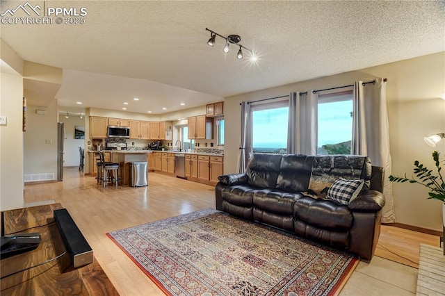 living room with sink, a textured ceiling, and light hardwood / wood-style flooring