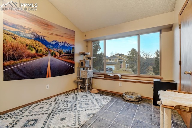 interior space featuring vaulted ceiling