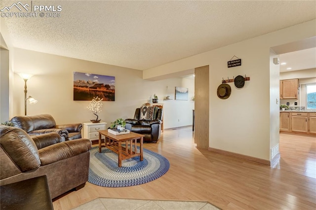 living room with a textured ceiling and light hardwood / wood-style floors