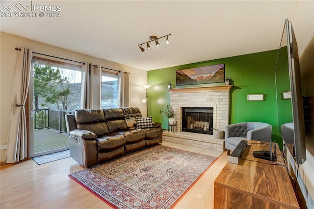 living room with hardwood / wood-style flooring and a fireplace