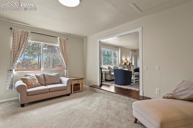 living room featuring carpet flooring