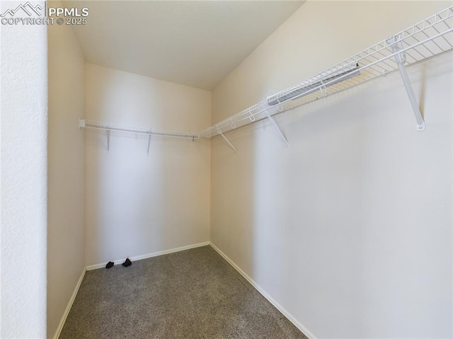 spacious closet with carpet