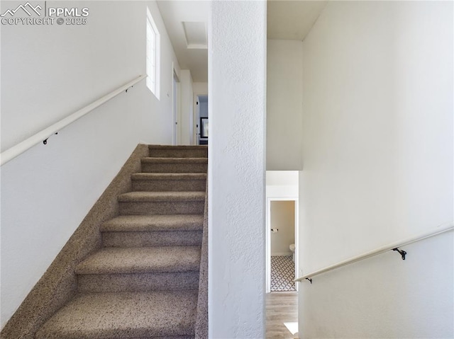 stairs with wood-type flooring