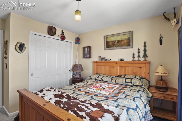 bedroom with a closet