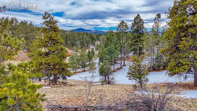 54 Southgate Rd, Florissant CO, 80816 land for sale