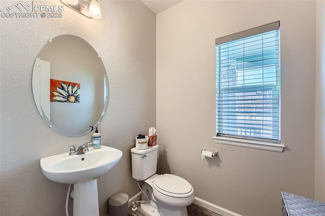 bathroom featuring hardwood / wood-style flooring, toilet, and sink