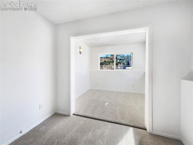 spare room featuring carpet floors