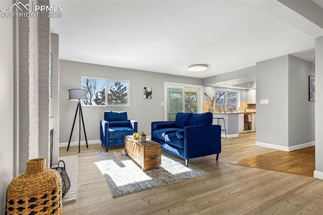 living room with light hardwood / wood-style floors