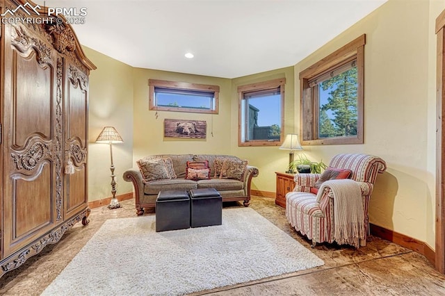 201 Fox Mountain Dr, Woodland Park, CO 80863 - view of sitting room