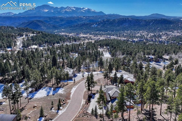 201 Fox Mountain Dr, Woodland Park, CO 80863 - aerial view featuring a mountain view