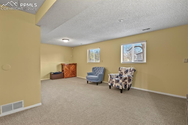 living area with carpet floors and a textured ceiling