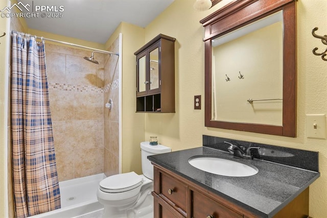 bathroom featuring toilet, vanity, and a shower with curtain