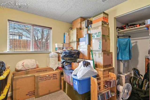 view of storage room