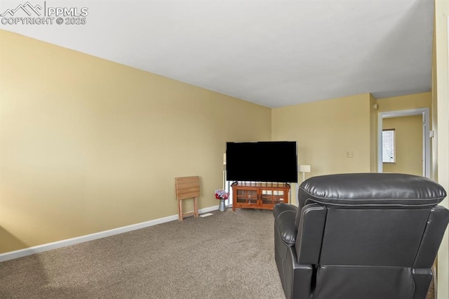 living room with carpet flooring