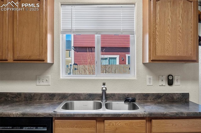 kitchen with dishwasher and sink