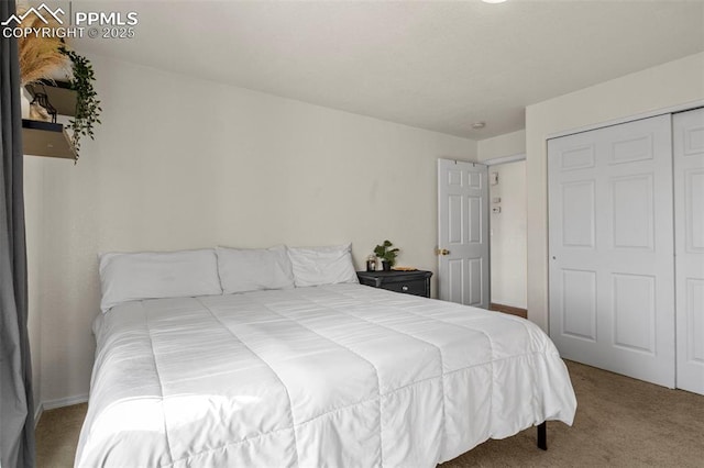 bedroom featuring carpet floors and a closet