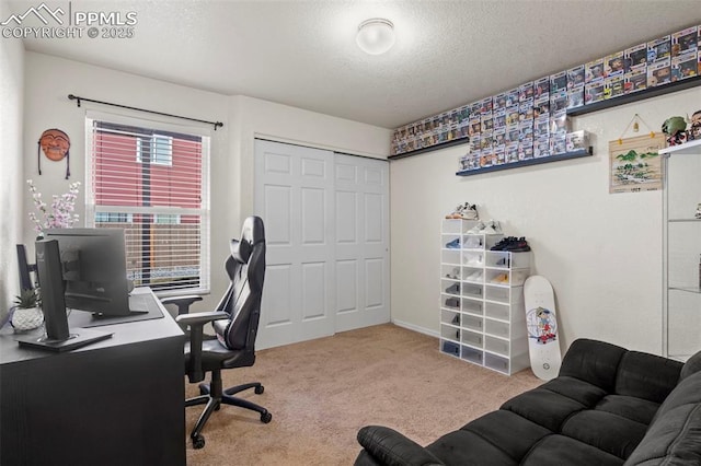 carpeted office space with a textured ceiling