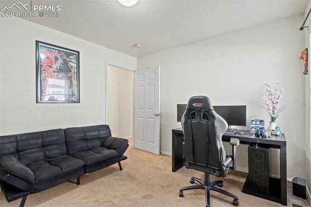 office area featuring light colored carpet