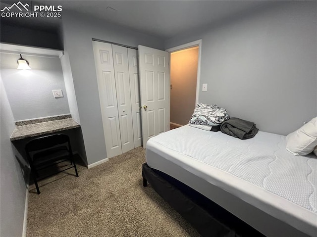 carpeted bedroom featuring a closet