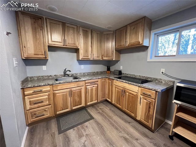 kitchen featuring black electric stovetop, sink, hardwood / wood-style floors, and dark stone countertops