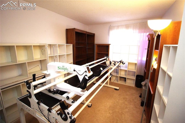 carpeted bedroom with a textured ceiling