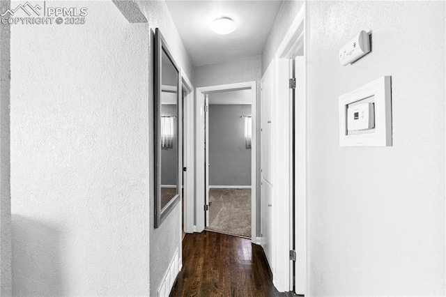 hall featuring dark hardwood / wood-style flooring