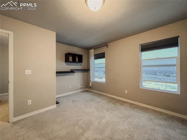 unfurnished room with light carpet and a textured ceiling