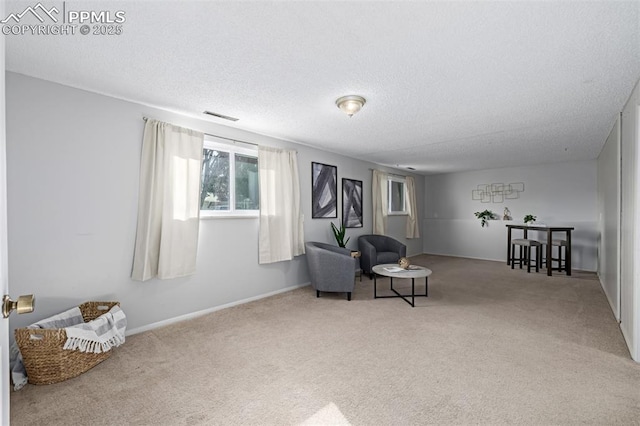 living area with carpet floors and a textured ceiling