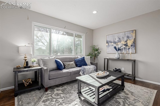 living room featuring dark wood-type flooring