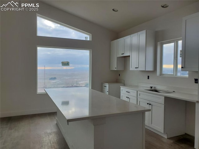 kitchen featuring light wood-type flooring, a wealth of natural light, a kitchen island, and a sink