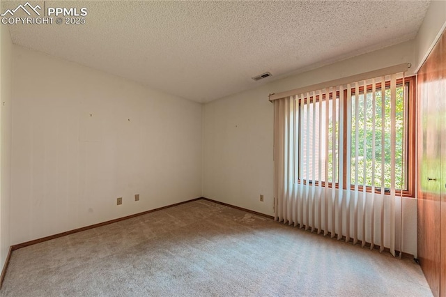 unfurnished room featuring light colored carpet and a textured ceiling